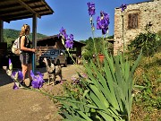 Anello ‘Madunina del Giong’- Prati Parini da Botta di Sedrina-21magg22- FOTOGALLERY